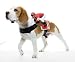 Dog Costumes - Dog Riders Jockey Costume One Size Fits Most