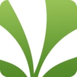 Saavn Music