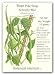 Bean Pole Kentucky Wonder Seed