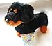 Webkinz Plush Stuffed Animal Dachshund