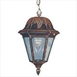 IMAGE OF Floral Small Chain Pendant Finish: Black, Glass: Amber Textured