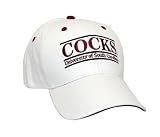 South Carolina Gamecocks 