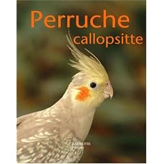 La perruche callopsitte