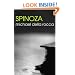 Spinoza (Routledge Philosophers) (The Routledge Philosophers)