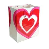 Valentine Medium Paper Gift Bags Heart Design