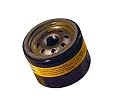 Briggs & Stratton Oil Filter #5049H