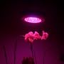 NEW 90 WATTS LED TRI-BAND UFO HYDROPONIC GROW LIGHT, 2506RBO