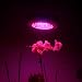 NEW 90 WATTS LED TRI-BAND UFO HYDROPONIC GROW LIGHT, 2506RBO
