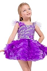 Toddler Infant Above the Knee Short Organza Beaded Lace Feathers Pageant Dress/Mini Dress 