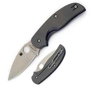 Spyderco Sage Titanium Plain Edge Knife