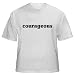 courageous Adult T-Shirt Various Colors