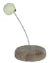 Firstrax Kitty Bongo Ball, colors may vary