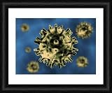 Virus, computer artwork - Framed 10x8 Print (25x20cm) by Science Photo Library