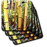 Bamboo Furniture
