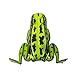 Lunkerhunt Frog Fishing Lure for Bass Fishing | Popping Frog 0.5 oz | Topwater Fishing Bait with Weedless Hooks, Hollow Body (Green Tea)