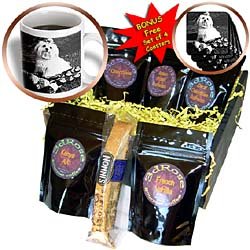 Dogs Maltese - Maltese - Coffee Gift Baskets - Coffee Gift Basket by 3dRose LLC