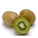 Hardy Kiwi Fruit 20 Seed -Actinidia chinensis-Perennial
