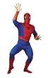 Standard Adult Spiderman Costume - Adult Std.