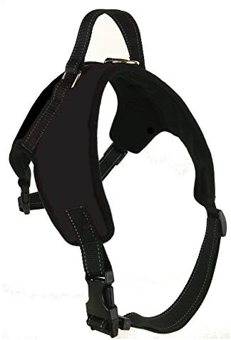 Sir Wag No-Pull Dog Leash Harness for Walking or Training and Pet Selfie Clip - 2 Item Bundle (Large, Black)