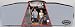 Advanced Combo Volleyball / Badminton Net Set