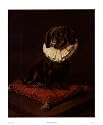 Dachshund Art Poster Print by Sandro Nardini, 19x23