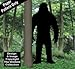 Bigfoot #2 Woodcraft Pattern