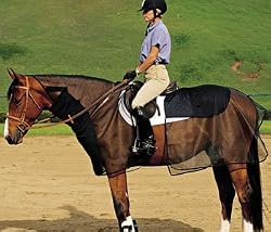 Cashel Quiet Ride 2-Piece Bug Armor [Misc.]