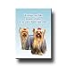 yorkshire_terrier39yorkshire terrier - Yorkshire Terrier Cant Have Just One Fridge Magnet