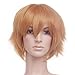 Blonde Short Length Anime Cosplay Costume Wig