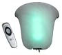 Exciting Lighting SM1002 Wireless Smart Choice Wall Sconce Bell Shaped Frosted Glass