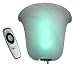 Exciting Lighting SM1002 Wireless Smart Choice Wall Sconce Bell Shaped Frosted Glass