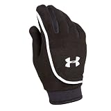 Under Armour ColdGear Fleece Glove 1006611