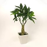 光触媒 アートフラワー パキラ 観葉植物 インテリア グリーン 造花 P91 HIKARI