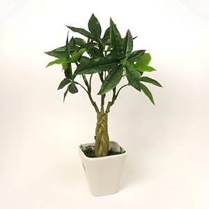 【クリックで詳細表示】光触媒 アートフラワー パキラ 観葉植物 インテリア グリーン 造花 P91