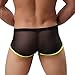 FEESHOW Men's Soft Sheer Mesh Boxer Briefs Shorts Underwear Lingerie Panties (Black, XL)