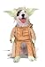 Star Wars' Yoda Pet Costume