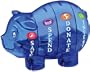 Money Savvy Pig