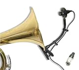 41oSnI2f6uL. SL160  bass clarinet