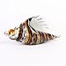 Badash Art Glass conch Shell L10x5
