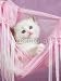 Wallmonkeys Peel and Stick Wall Decals - Pretty and Cute Ragdoll Kitten Sitting in Pink Hammock - Removable Graphic 