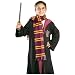 HARRY POTTER SCARF