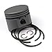 Briggs and Stratton 499909 Piston Assembly (.020)