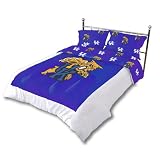 Kentucky Wildcats NCAA Comforter Set (Panel/Rotary-Solid)