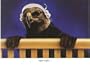 Will Bullas Assorted Birthday Cards - Box of 8