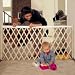 Baby : Wide Expansion Swing Gate