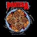 SP 1809 - GEWEBTE AUFNÄHER / PANTERA -