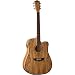 Washburn D46CESPK Acoustic Electric Guitar - Southwest Series