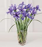 The FTD® Blooming Iris Flower Bouquet 41oU0rt uuL. SL160 The FTD® Blooming Iris Flower Bouquet