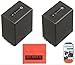 Pack of 2 NP-FV100 Batteries for Sony HDR-CX220 HDR-CX230 HDR-CX290 HDR-CX380 HDR-CX430V NEX-VG10 NEX-VG20 NEX-VG30 NEX-VG900 HXR-MC50U Camcorder + More