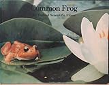 Common frog